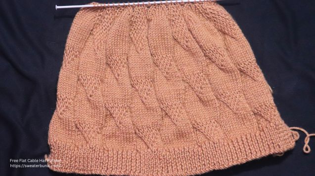 Sunayanas Flat Cable Hat Pattern