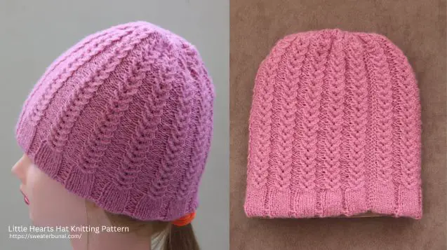 Little Hearts Hat Knitting Pattern by Sunayana Negi: A Simple and Cozy Winter Project. 1 Little Hearts Hat Knitting Pattern Imge